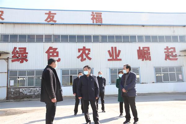 太康县王国玺最新动态详解，初学者与进阶用户的步骤指南