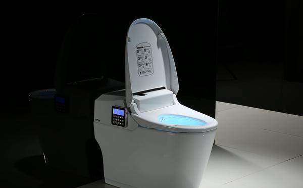智能马桶价格揭秘,成就梦想,变化、学习与自信的价格探索