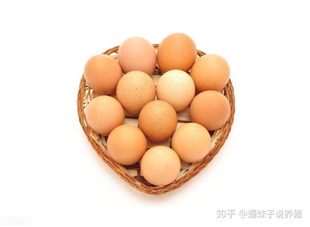 云南今日鸡蛋价格行情与心灵之旅,自然美景下的宁静寻找