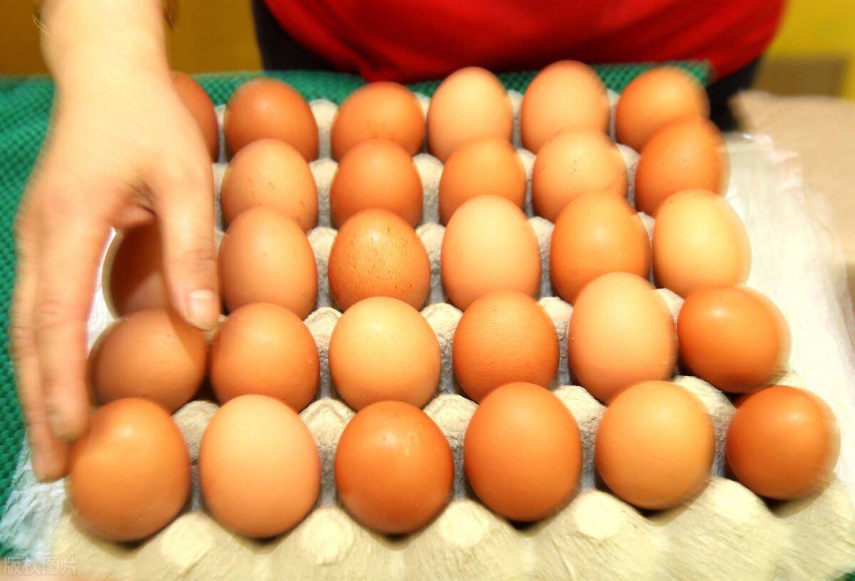 云南今日鸡蛋价格行情,云南今日鸡蛋价格行情——科技引领新纪元，智能体验鸡蛋行情