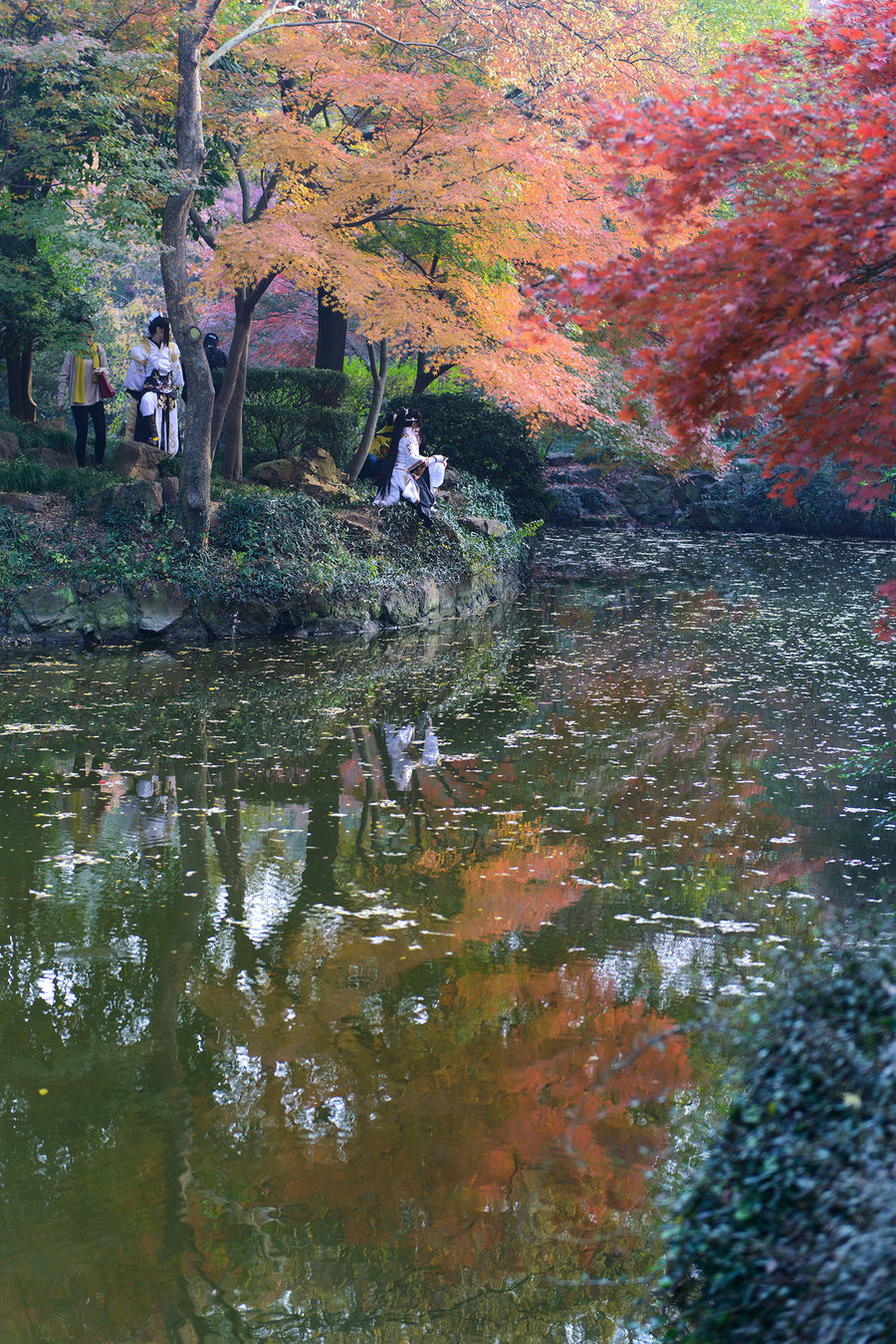 探索秋霞新世界的最新入口揭秘!