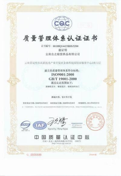 ISO9001质量管理体系标准最新版,背景、发展、影响与地位全面解析