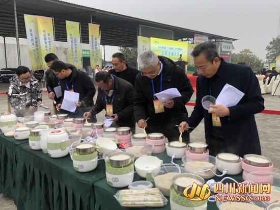 吃米饭比赛,吃米饭比赛,一粒米的力量与自我超越的旅程