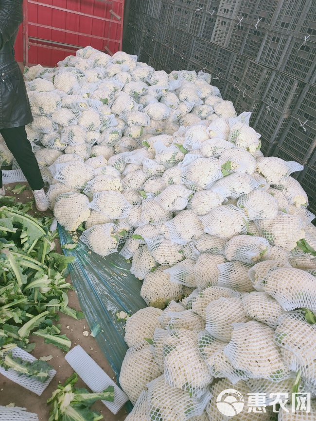 松花菜价格行情,松花菜价格行情深度解析