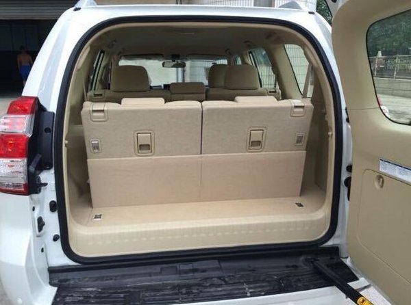 霸道最新版,潮流引领,独特魅力尽显