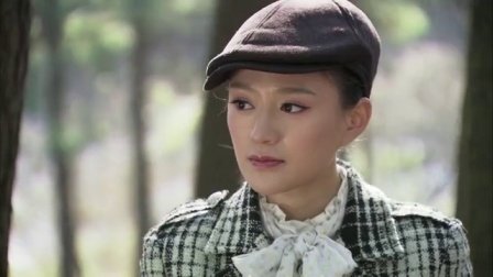 红狐电视剧全集,科技巨献重塑视听盛宴