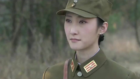 红狐电视剧全集,科技巨献重塑视听盛宴