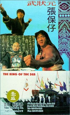 张保仔演员表，探寻小巷中的演艺魅力之旅