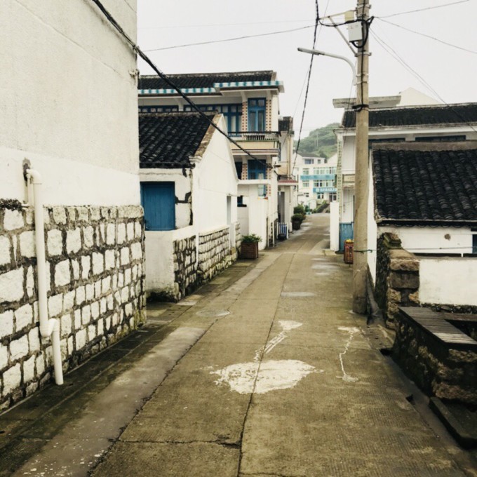 白沙县最新人事调整动态更新