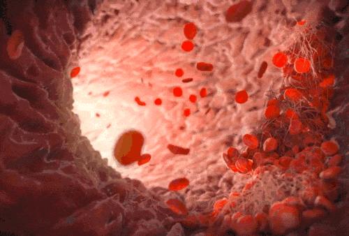 CF分期资讯更新，探索变化中的学习之旅，自信成就感的源泉